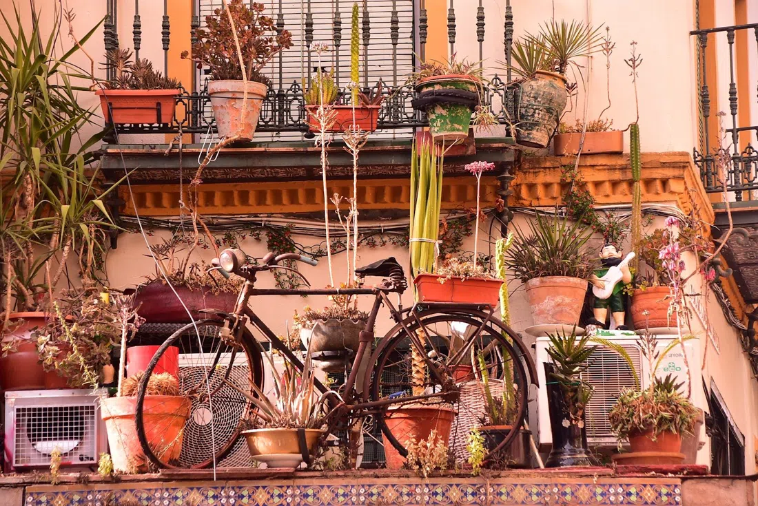 La Bicicletería, Seville