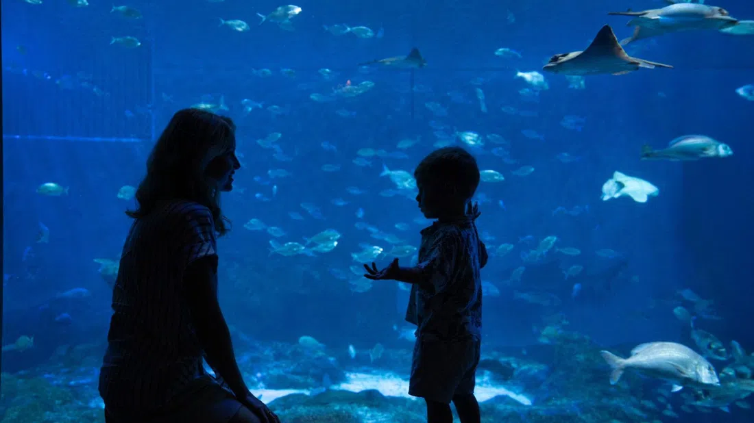 Acuario de Sevilla, Sevilla