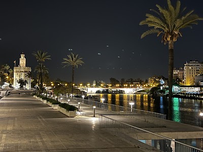 El Arenal
