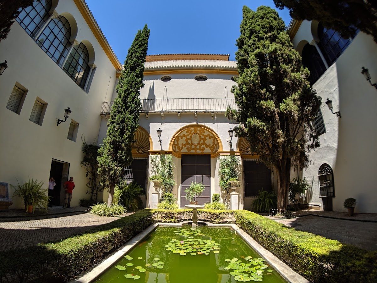 Museo de Bellas Artes — photo 4