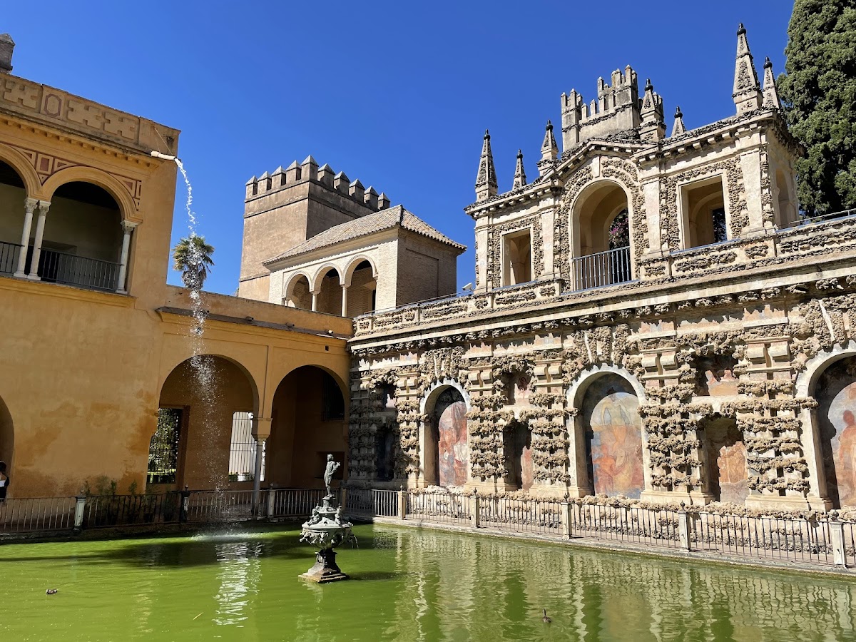 Real Alcázar — photo 3