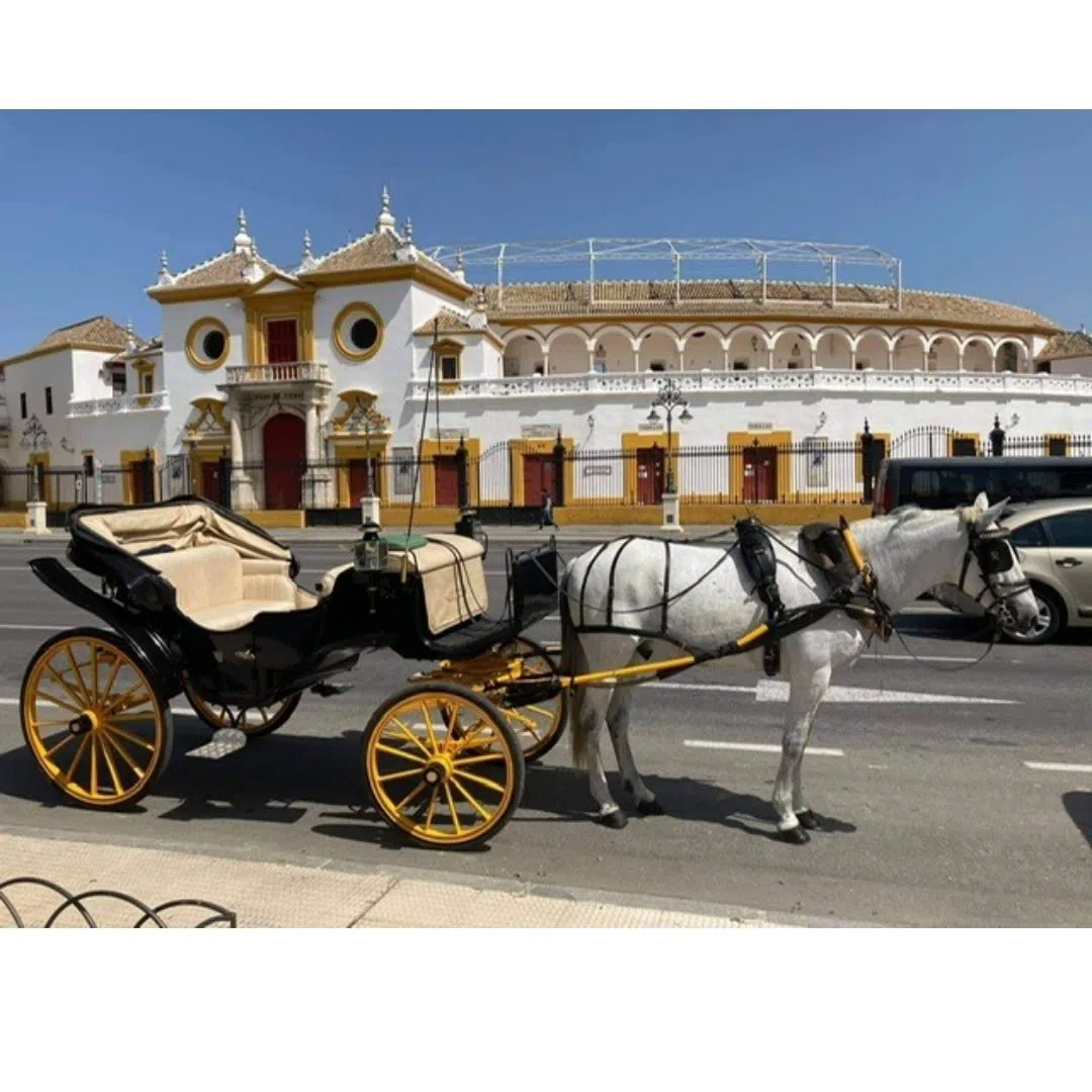 Licensed horse-drawn carriages (coches de caballos), Seville