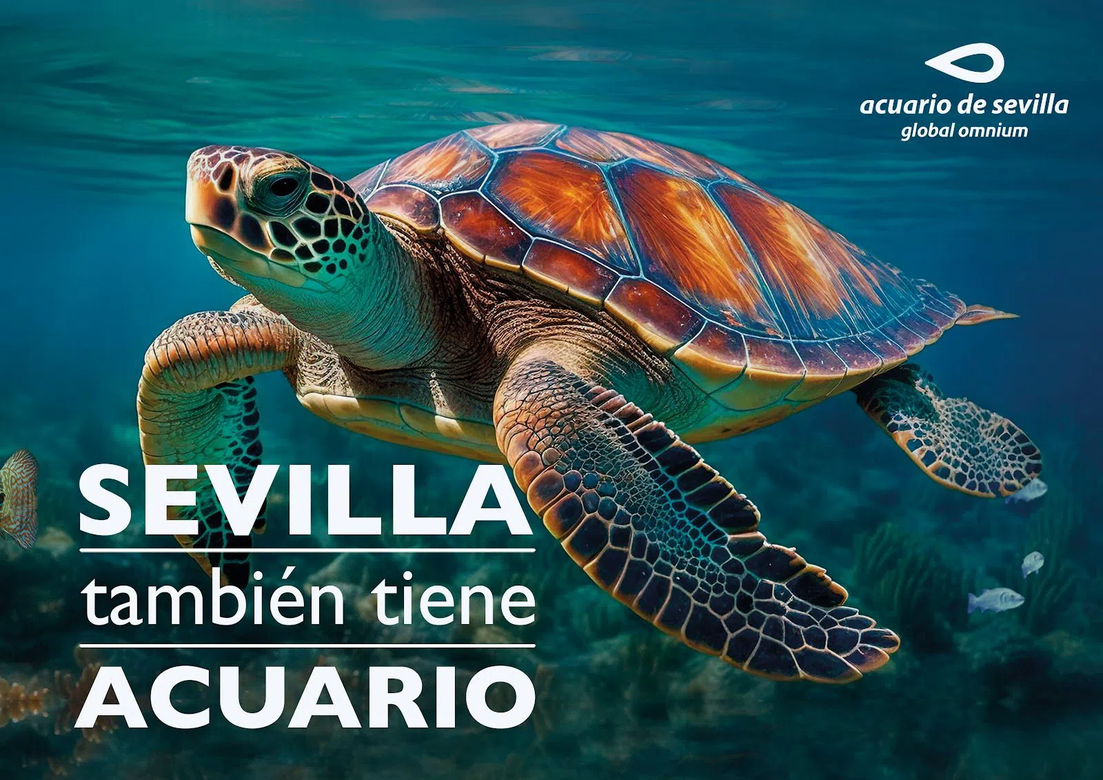 Acuario de Sevilla, Siviglia